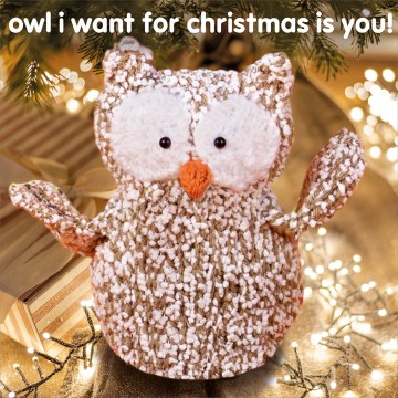 owl I want for Christmas is...